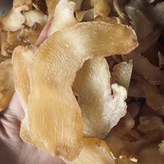 菏泽黄精
