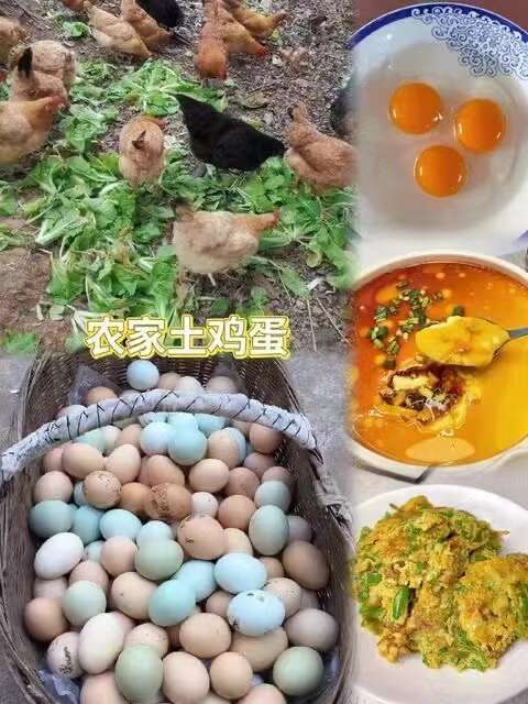 平度市农村散养土鸡蛋