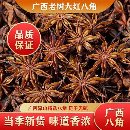 玉林八角大料广西老树大红八角足干八角卤料包调料包香料大全