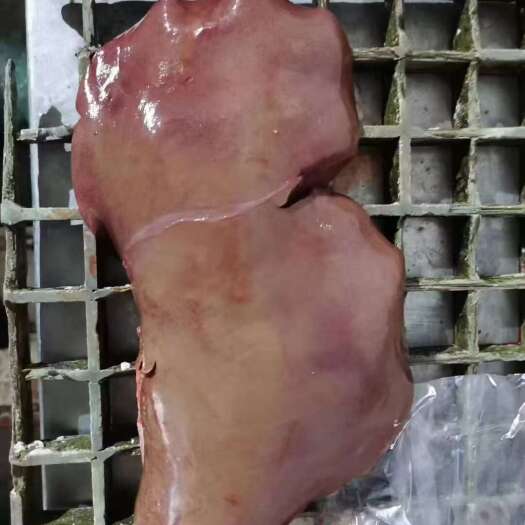 羊肝