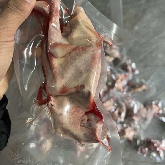 南京冷冻乳鸽，