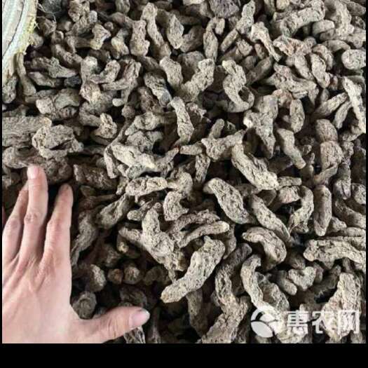 侯马市干地黄