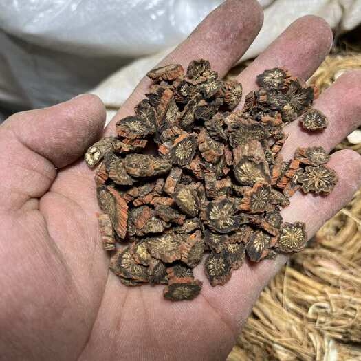 广州紫丹参中药材 广东广州荔湾清平直发货