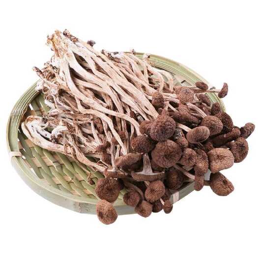 茶树菇干货古田不开伞茶树菇 茶薪菇 冰菇食用菌批发代加工