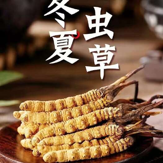 比如县那曲精品虫草 ，冬虫夏草 那曲优选高海拔虫草 藏区原产