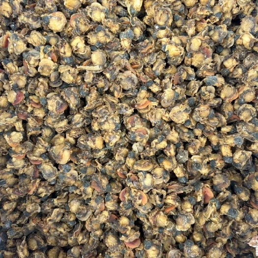 开平市全贝，扇贝干，