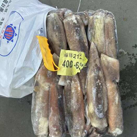 深圳阿根廷鱿鱼