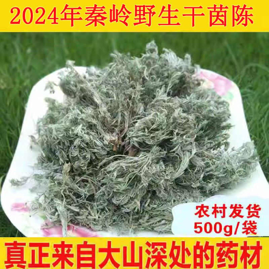 宝鸡秦岭精品干茵陈棉茵陈