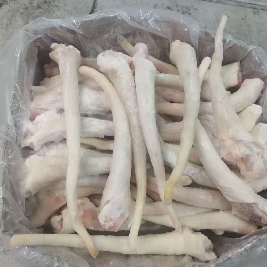 沈阳长尾