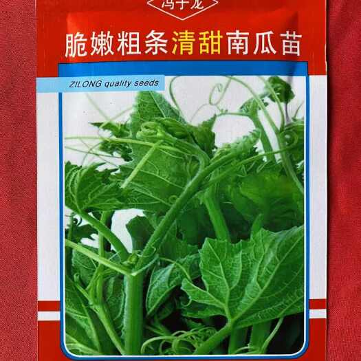 衡阳县南瓜苗种子蔬菜种子脆嫩粗条清甜南瓜苗