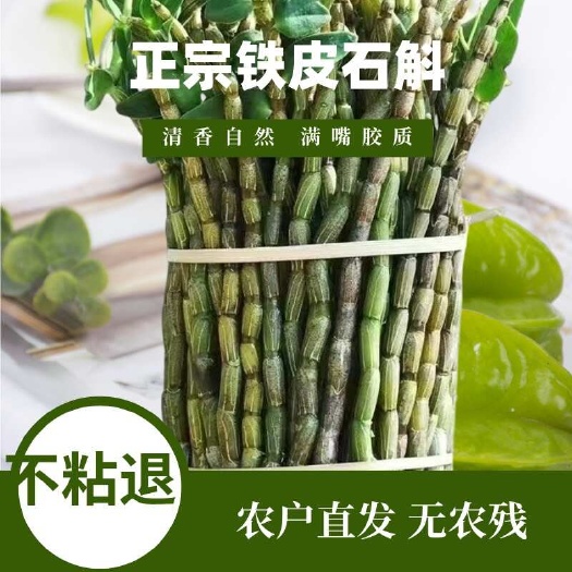 保山铁皮石斛鲜条现采现摘胶质饱满新鲜