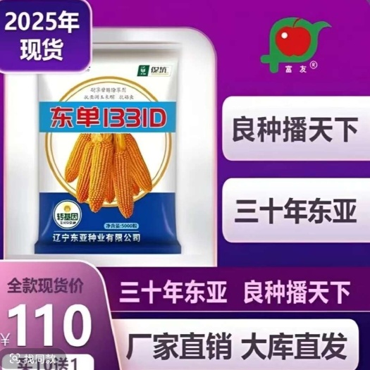 沈阳东单1331D转基因双抗密植抗倒扶抗旱耐涝不秃尖抗锈病