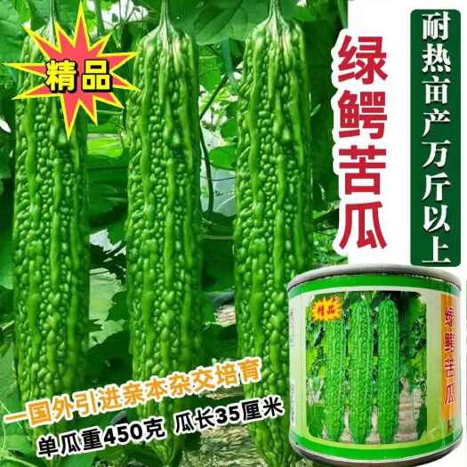 沭阳县绿鳄苦瓜种子油绿苦瓜种子  绿美多1号苦瓜种子