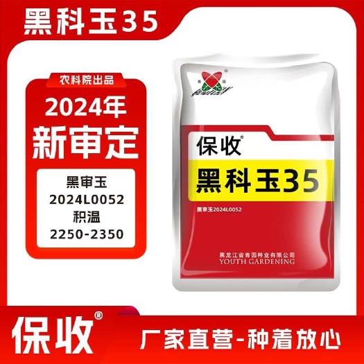 黑科玉35黑龙江吉林内蒙古河北山西高产杂交早熟抗倒玉米种子