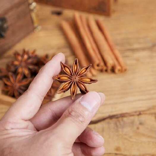 玉林￼ 八角2斤起批精选大红八角广西玉林发货另卖干枝八角春花八角