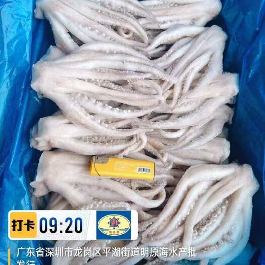 深圳鱿鱼须（干水6/8须）