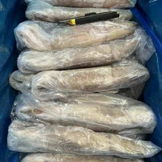 深圳鱿鱼