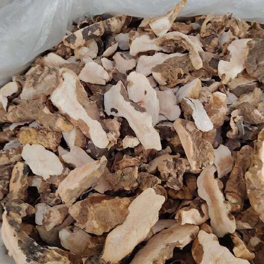 土茯苓块