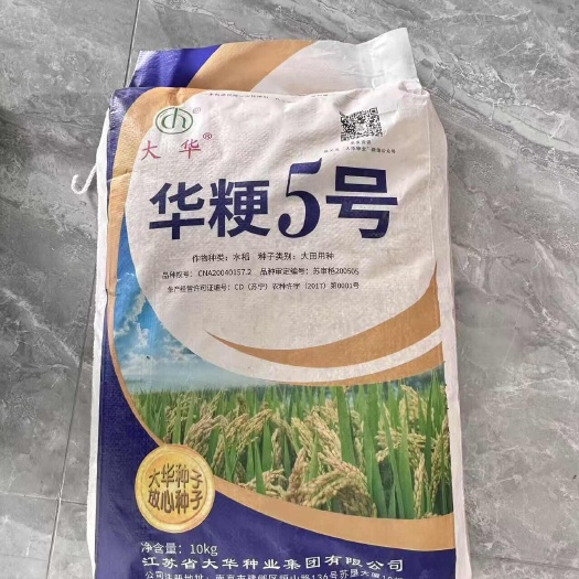 沭阳县批发水稻种子华粳5号优质高产品抗甲氧品种