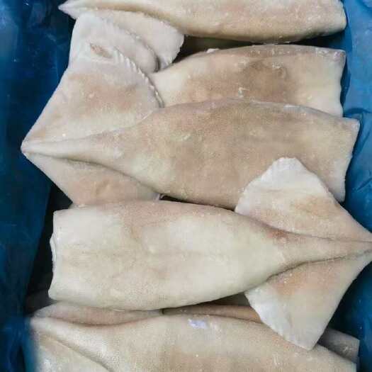 深圳鱿鱼筒