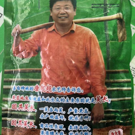 湘乡市四季豆种子 矮蔓无架芸豆种子 特早熟荚长好卖耐寒春秋播500