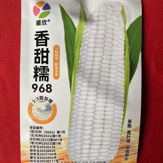 衡阳县香甜糯968玉米种子白糯大棒玉米种子甜十糯苞谷种子