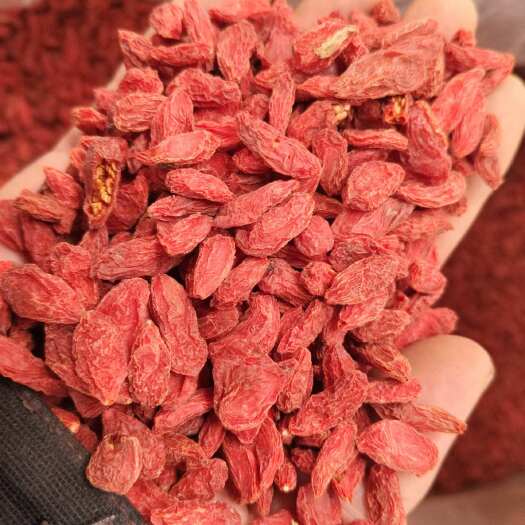 优质大颗粒红枸杞足干包邮，宁夏中宁发货