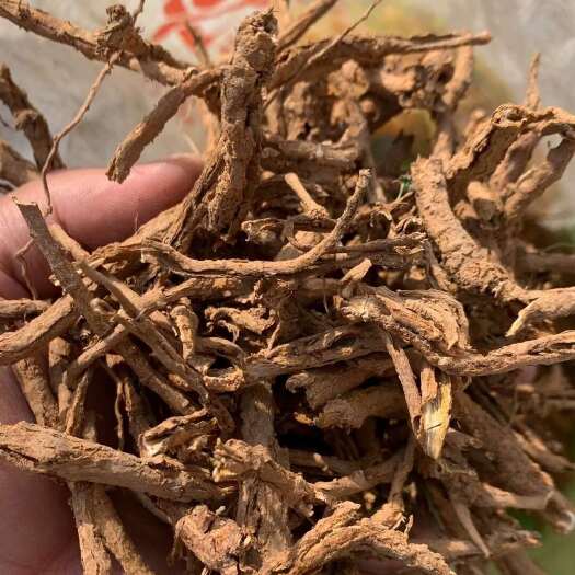 洛宁县伏牛山地骨皮，干货统货，量大价格优惠，可长期供货，欢迎咨询！