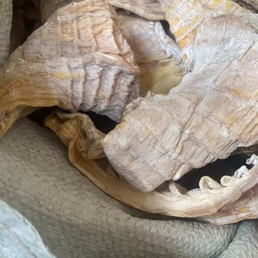 野生楠竹笋干