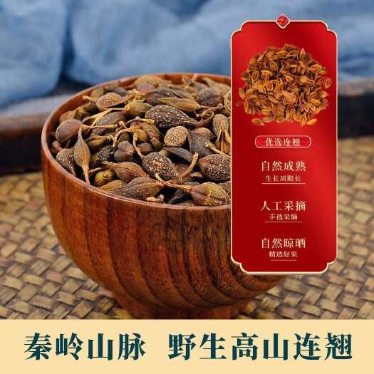 旬阳市秦岭连翘非种植连翘