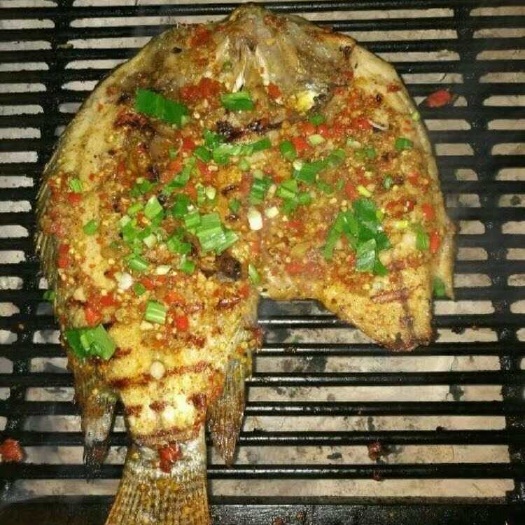 昆明烧烤罗非鱼，云南傣味罗非鱼，腌制罗非鱼
