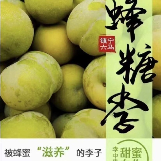 镇宁县贵州六马蜂糖李、支持电商批发顺丰发货品质保证欢迎老板咨询