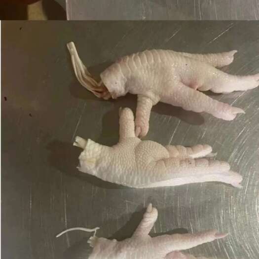 广州经营巴西，俄罗斯凤爪，鸡爪，各种各样冷冻食品