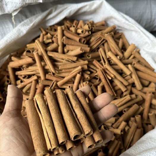玉林广西玉林 优质桂皮 刮皮烟桂8～10公分