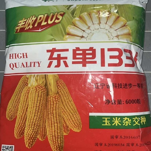 抚顺精选粒包装东单1331玉米种子6000粒耐密植耐高温抗倒伏好