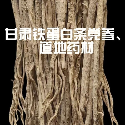 甘肃岷县白条党参、道地药材、农户自家产品、产地直发。