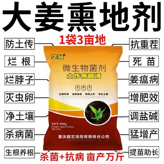 栾川县大姜熏地专用土壤杀菌消毒剂生姜地抗重茬防治土传病害微生物菌肥