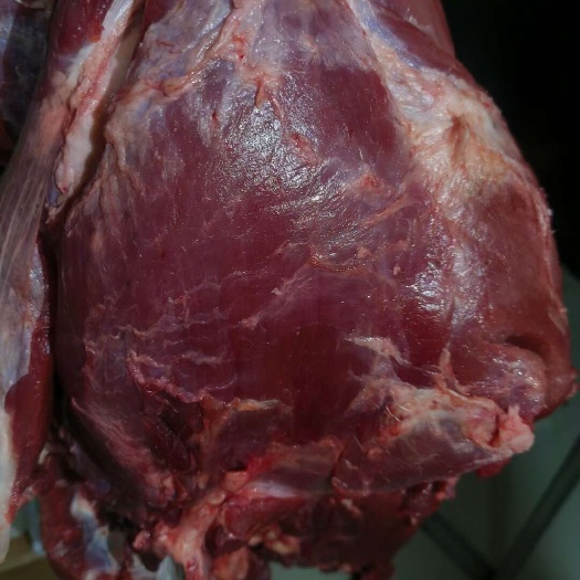 主营甘肃省内  腿肉 腱子 上脑 黄瓜条