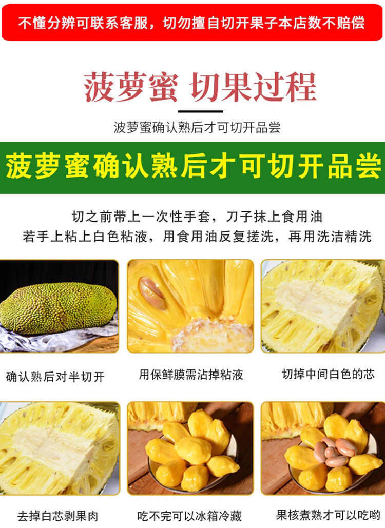 海南菠萝蜜现摘现发当天下单当天发货电商对接