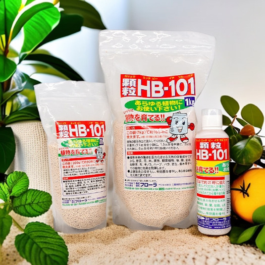 临清市日本原装HB101植物活力素颗粒缓释肥花卉绿植盆栽园林