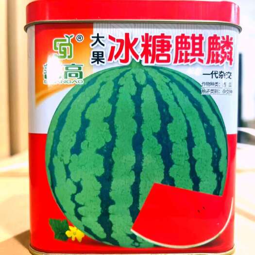 樟树市善高大果冰糖麒麟杂交西瓜种子早熟圆形约5-10公斤大红瓤甜脆