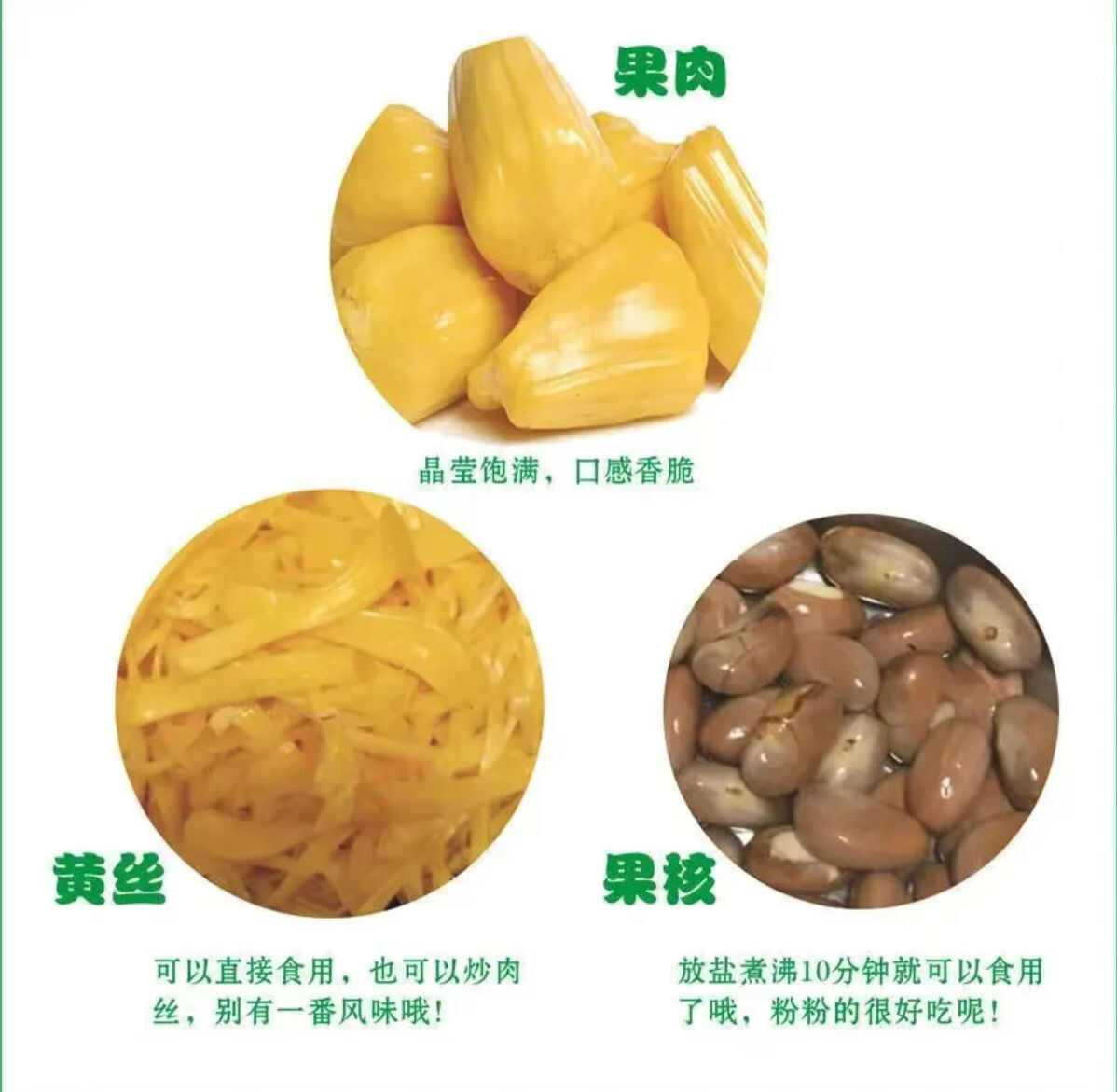 海南菠萝蜜现摘现发当天下单当天发货电商对接