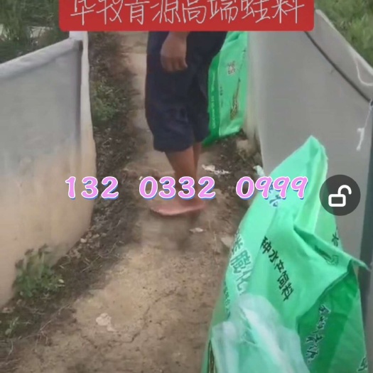 岳阳县华牧青源40%蛋白青蛙料（A料）