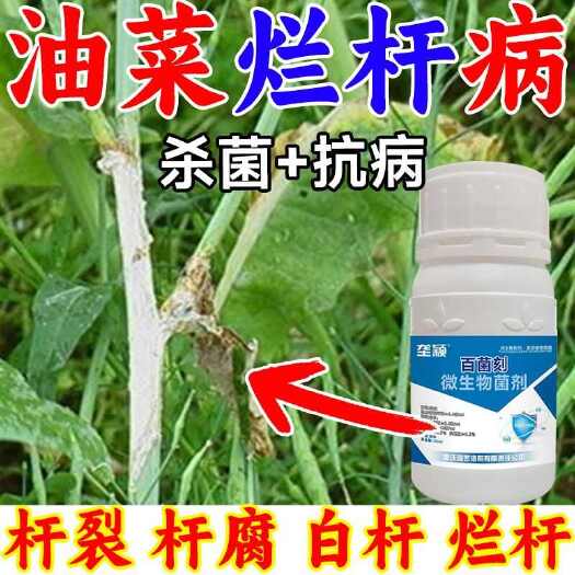 栾川县油菜烂杆专用药油菜病全治烂根黄叶菌核病软腐病霜霉病专用杀菌剂