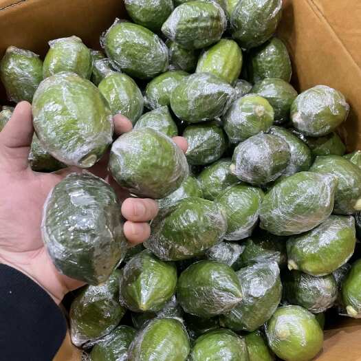 广州广东香水柠檬 批发果场直批 下单前请联系店家，包邮包膜包售后