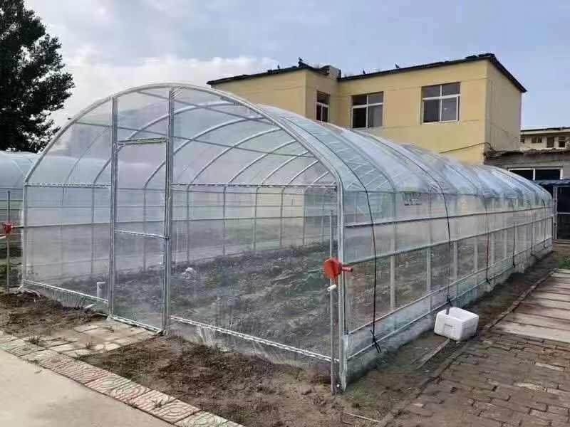 宿迁8米宽  30米长  菌菇大棚  适合各种菌菇棚
