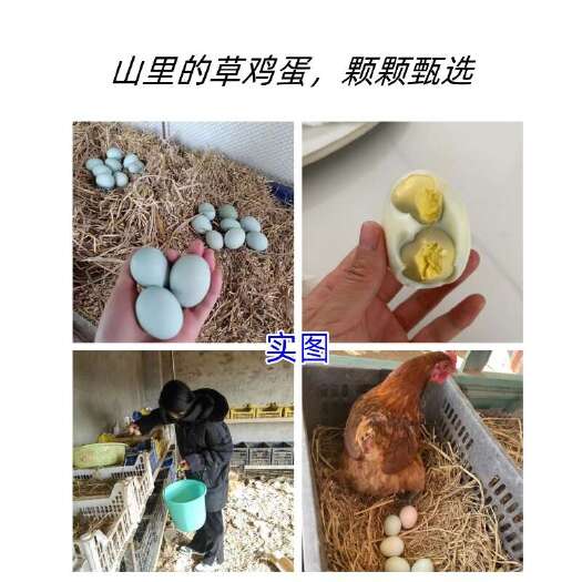 南京新鲜土鸡蛋直供 江苏南京浦口当日发货 农场现捡保证优质食材