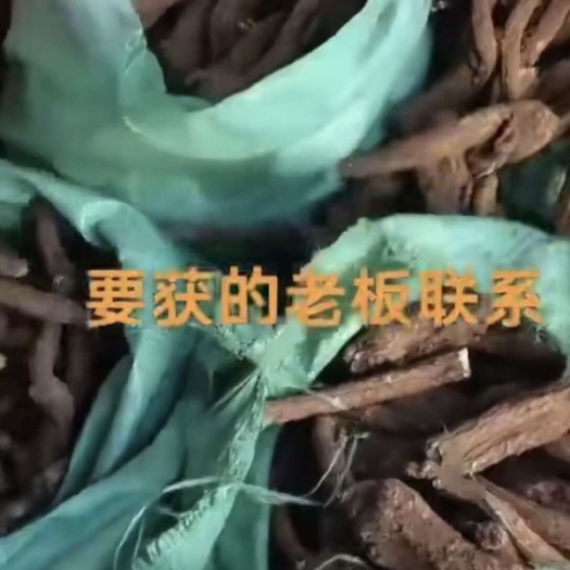 香格里拉干木香有20吨，成色漂亮，有需要的联系。