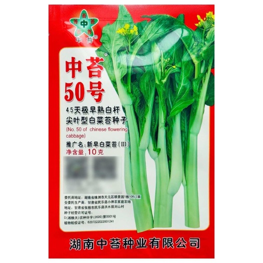 中苔50号45天极早熟白杆尖叶型白菜苔种子大田基地种植高产抗