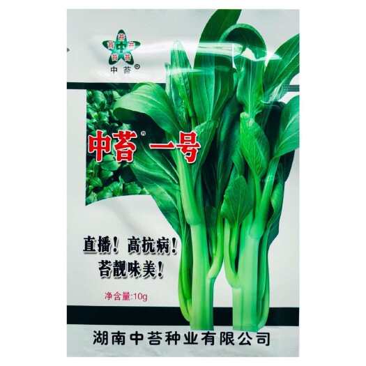 沭阳县中苔一号特早熟白菜苔种籽特早熟白菜苔大田基地速生长高产抗病
